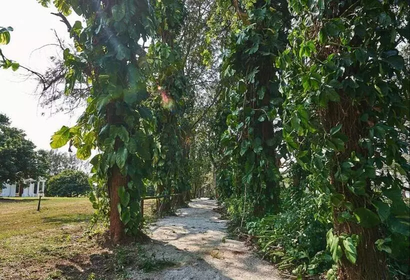 Majatalo The Sunbird Guesthouse