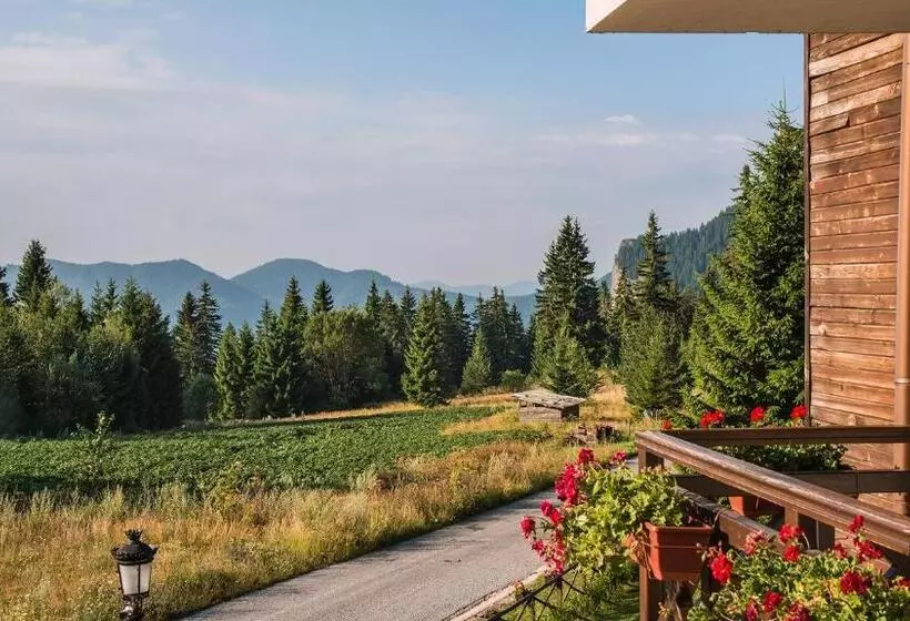 Studio By Mountain Lakes