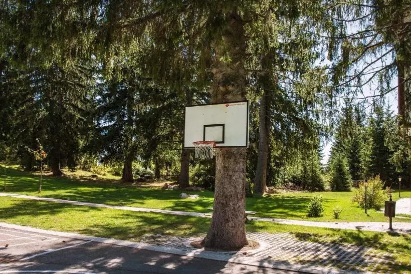 Studio By Mountain Lakes