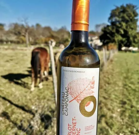 Aamiaismajoitus (B&B) Suite Campagnarde Près Bordeaux, Vue Sur Les Vignes Au Château Camponac