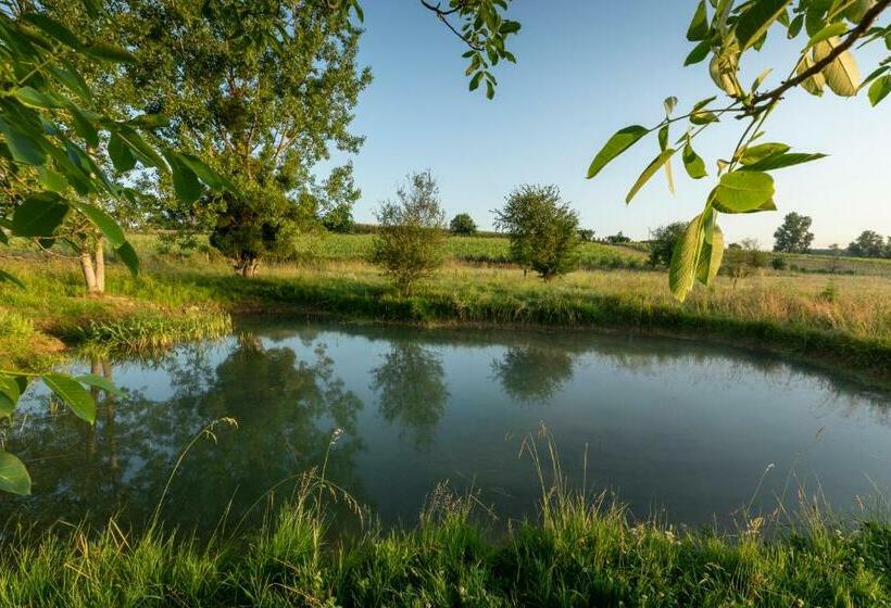Bed and Breakfast Suite Campagnarde Près Bordeaux, Vue Sur Les Vignes Au Château Camponac