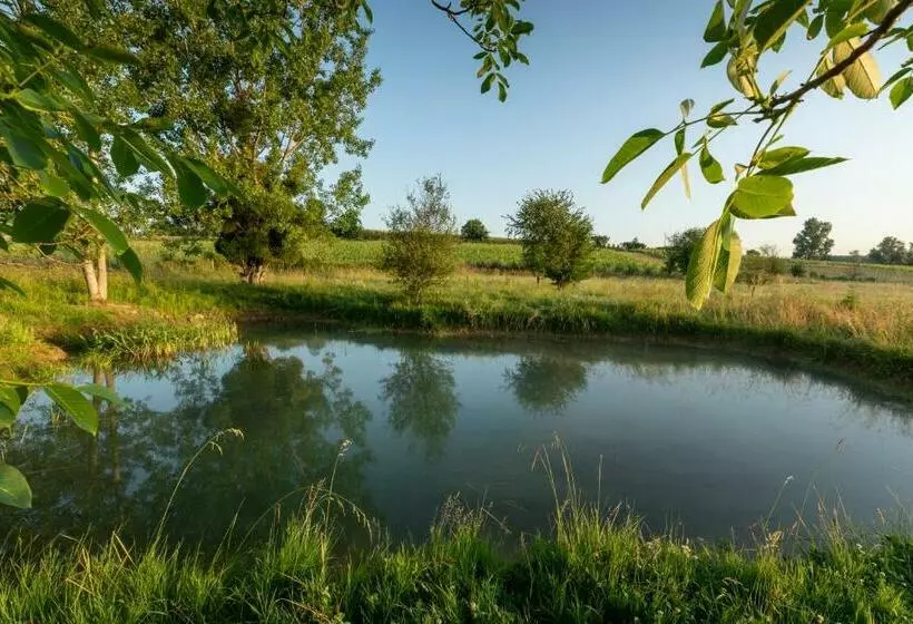 Aamiaismajoitus (B&B) Suite Campagnarde Près Bordeaux, Vue Sur Les Vignes Au Château Camponac