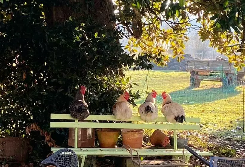 Aamiaismajoitus (B&B) Suite Campagnarde Près Bordeaux, Vue Sur Les Vignes Au Château Camponac