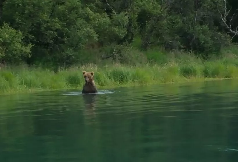 Hotelli Alaska S Gold Creek Lodge