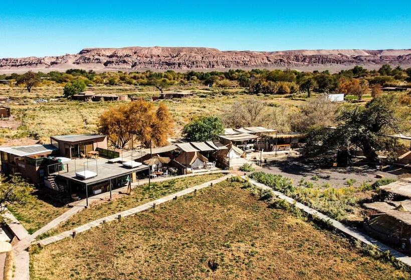 Hotel Atacama Loft & Glamp