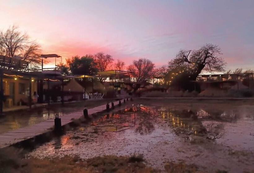 Hotel Atacama Loft & Glamp