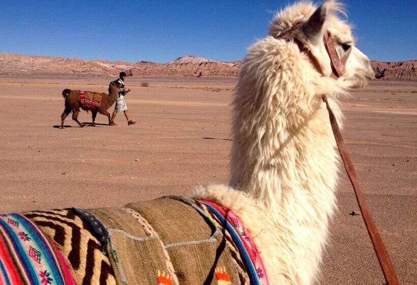 Hotel Atacama Loft & Glamp