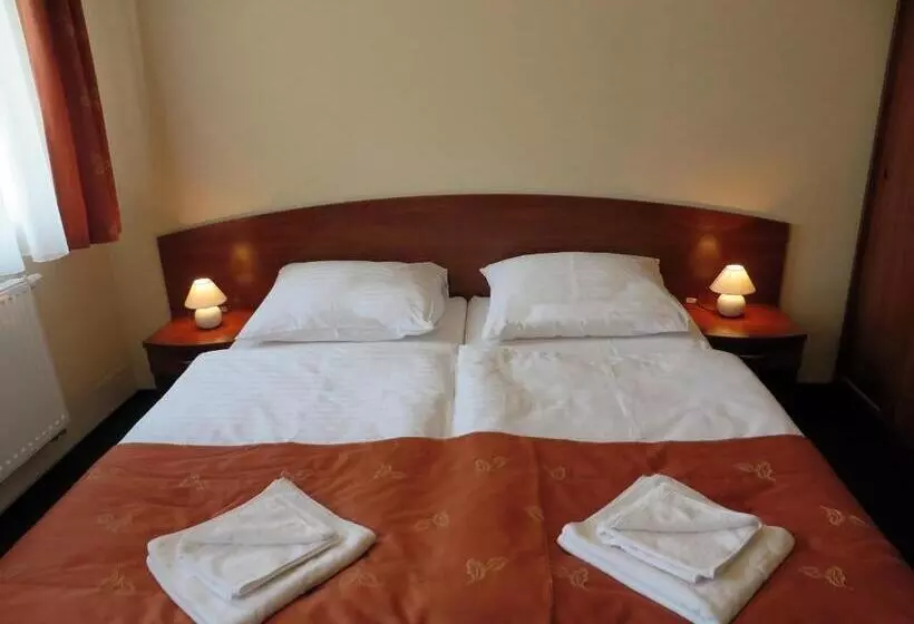 Hotelli City Apartments Protos