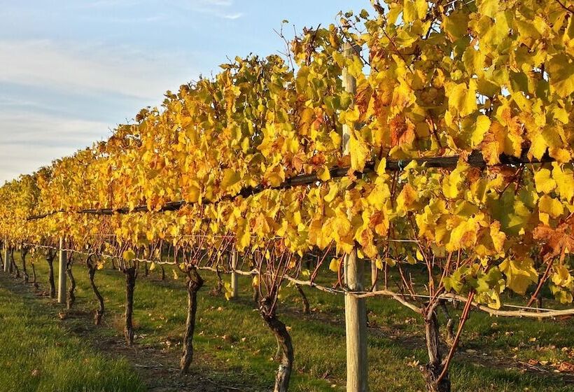 בית מלון כפרי North Fork Guest House