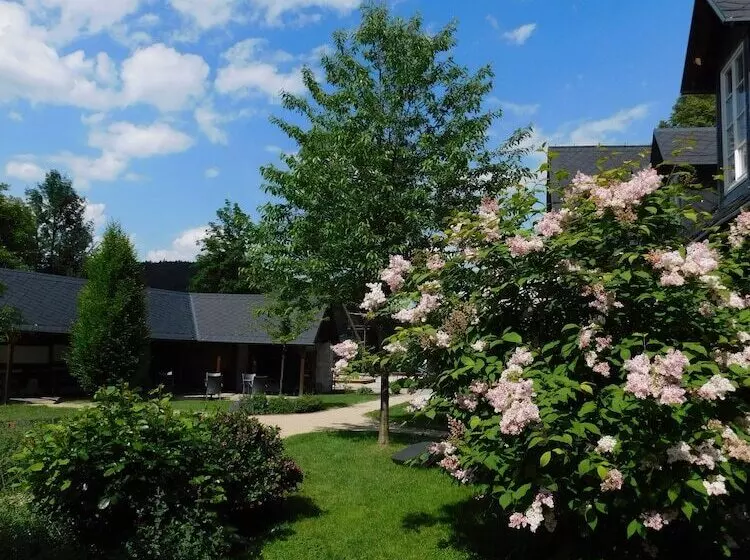 Apartmán Hotel Jítrava