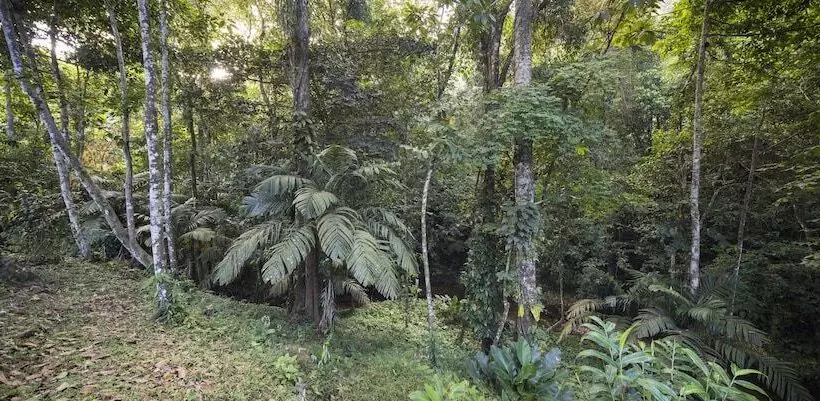 Hotelli Yabá Chiguí Lodge