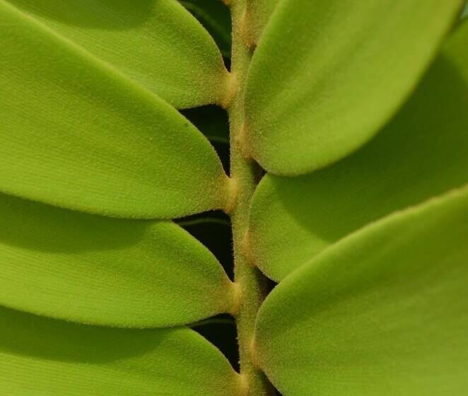 酒店 Yabá Chiguí Lodge