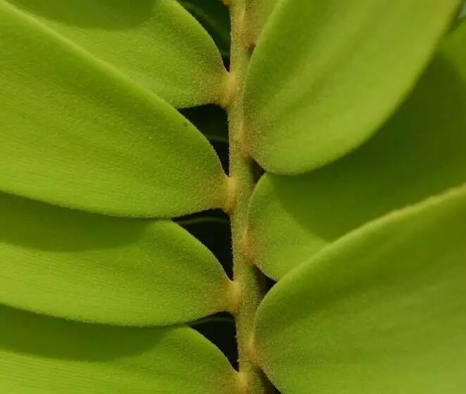 Hotelli Yabá Chiguí Lodge