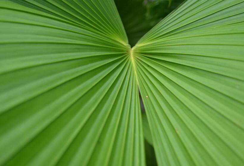 酒店 Yabá Chiguí Lodge