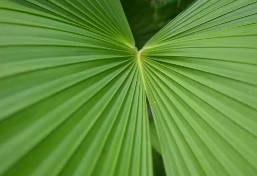 Hotelli Yabá Chiguí Lodge
