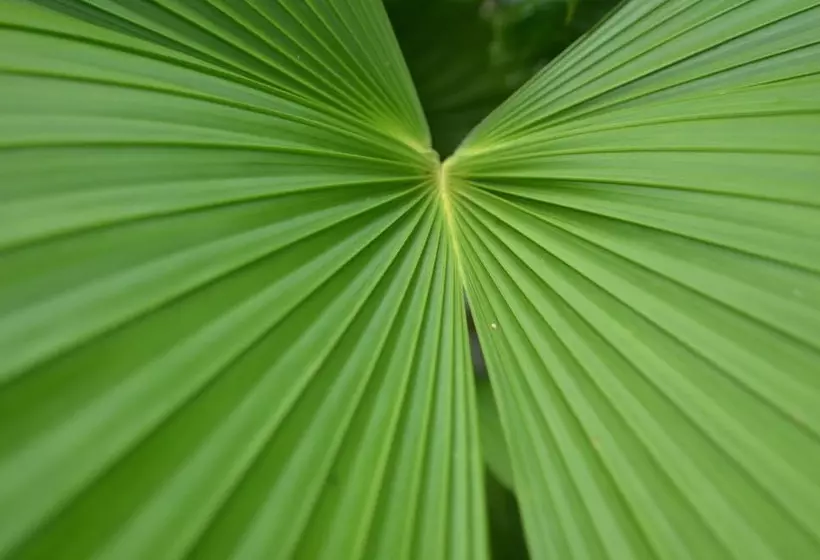 Hotelli Yabá Chiguí Lodge