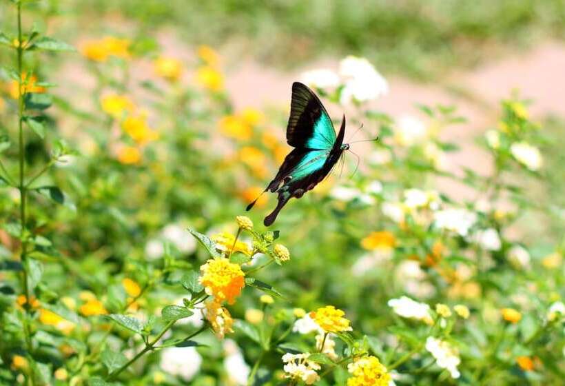 Beingsattvaa Luxury Ubud