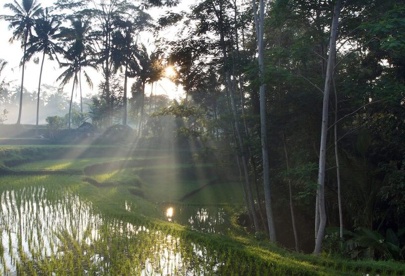 Beingsattvaa Luxury Ubud