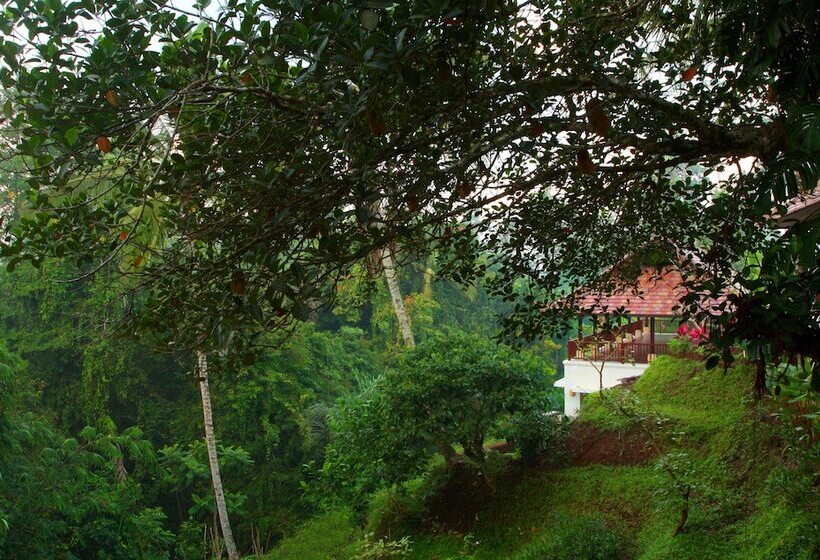 Beingsattvaa Luxury Ubud