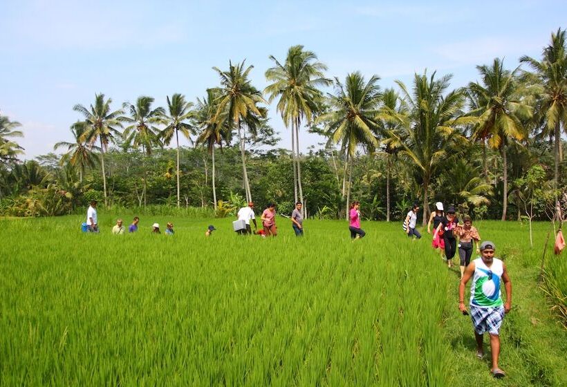 Beingsattvaa Luxury Ubud