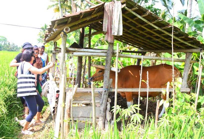 Beingsattvaa Luxury Ubud