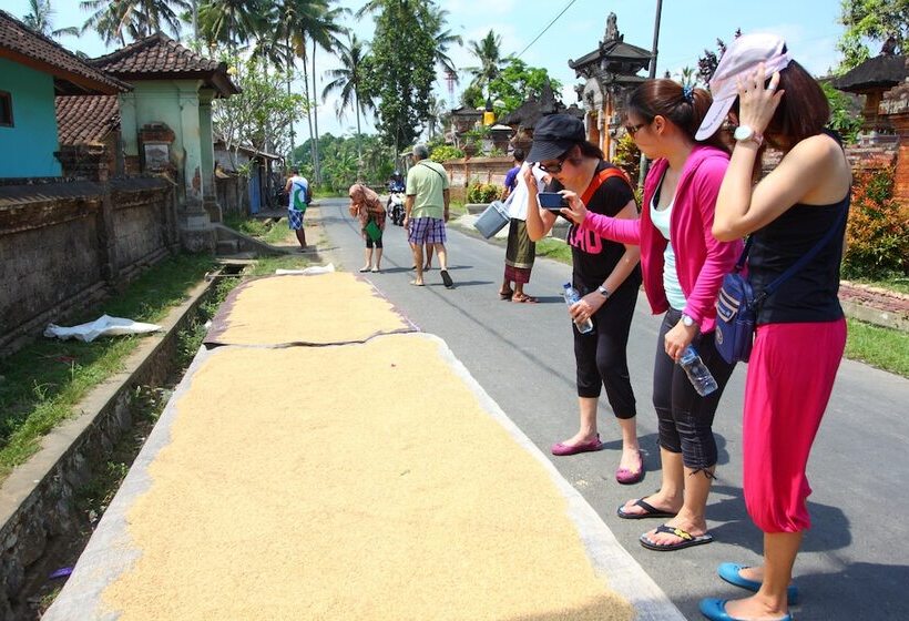 Beingsattvaa Luxury Ubud