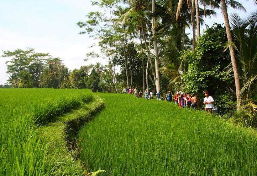 Beingsattvaa Luxury Ubud