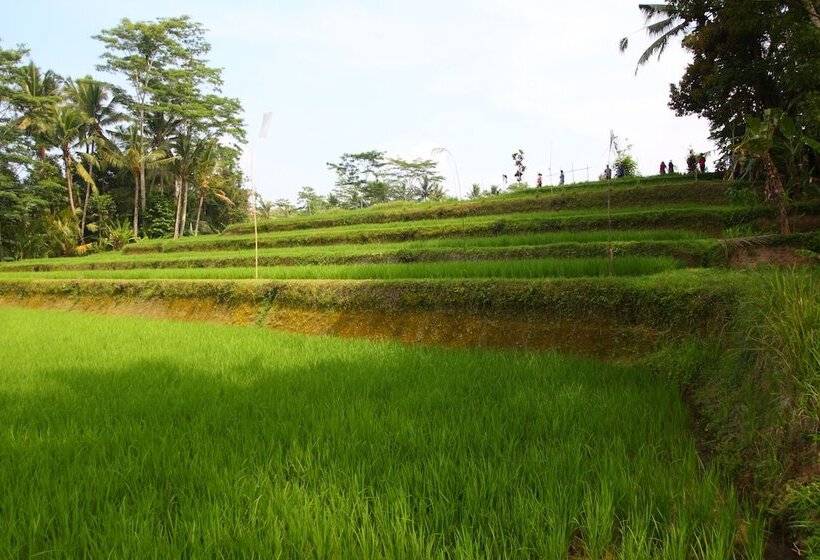 Beingsattvaa Luxury Ubud