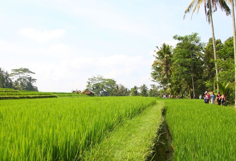 Beingsattvaa Luxury Ubud