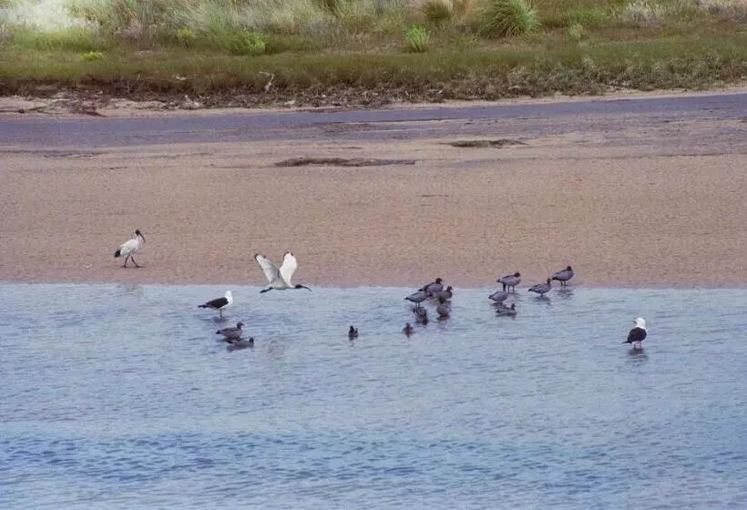 فندق Apollo Bay Guest House