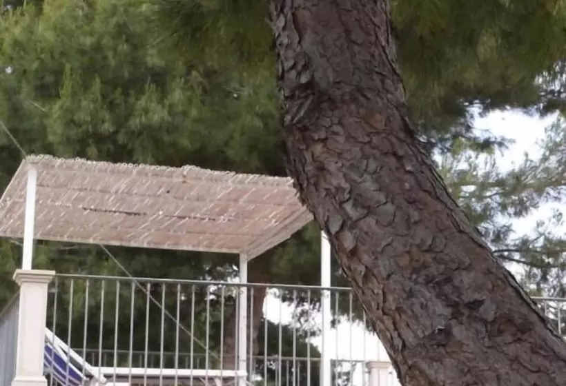 Отель Aria Di Mare