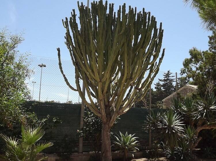 בית מלון כפרי Aria Di Mare