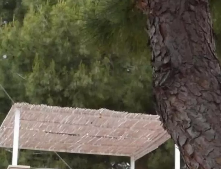 Отель Aria Di Mare