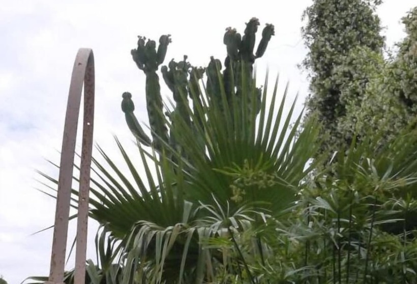 בית מלון כפרי Aria Di Mare