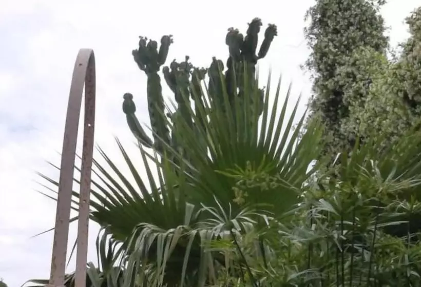 Отель Aria Di Mare