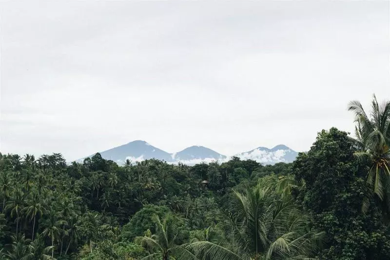 Отель Bisma Eight   Chse Certified