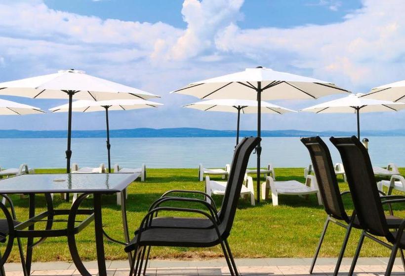 Отель Hungária