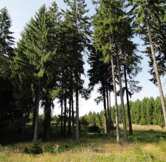 Hotel Obere Schweizerhütte