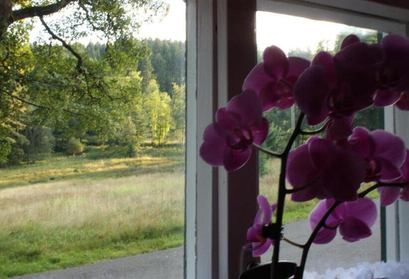 호텔 Obere Schweizerhütte