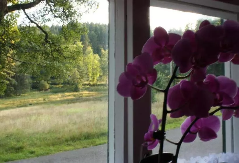 Hotel Obere Schweizerhütte