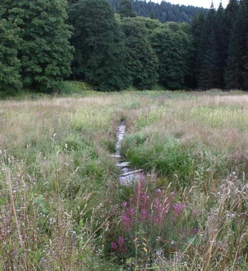 호텔 Obere Schweizerhütte