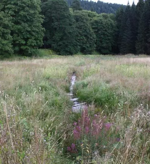 Hotel Obere Schweizerhütte