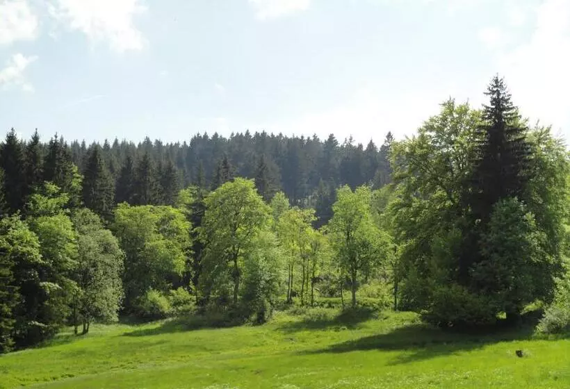 Hotel Obere Schweizerhütte