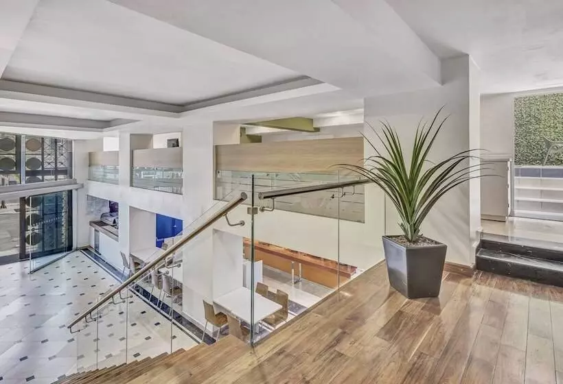 Отель One Ciudad De Mexico Alameda