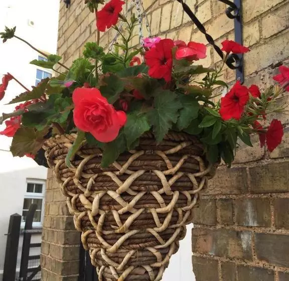 فندق The Horseshoes Bed & Breakfast