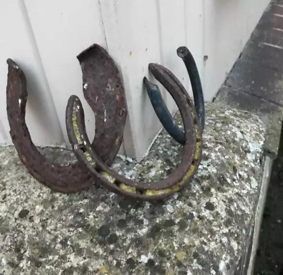 فندق The Horseshoes Bed & Breakfast