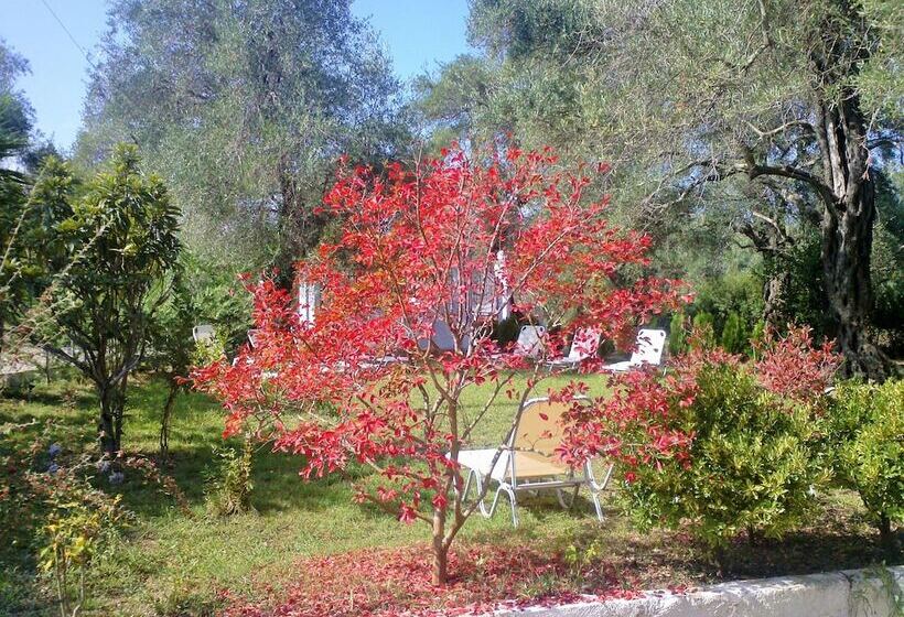 Marilena Apartments & Studios