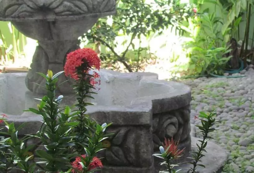 ホテル Villa Serena Escalón