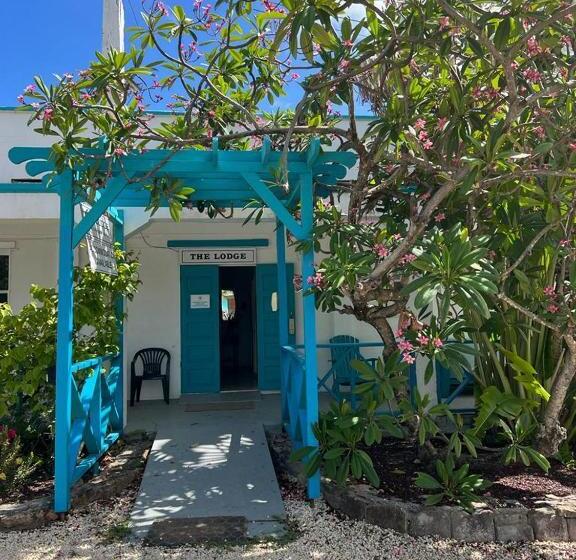 هاستل The Lodge Antigua