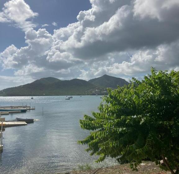 هاستل The Lodge Antigua